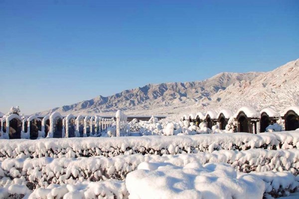 冬季陵园雪景