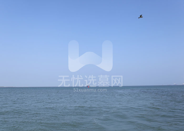 天津骨灰海撒海域