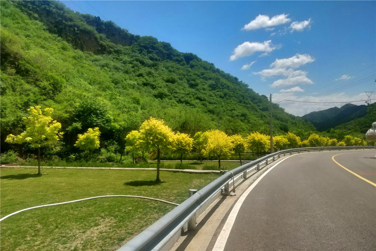 九公山长城纪念林