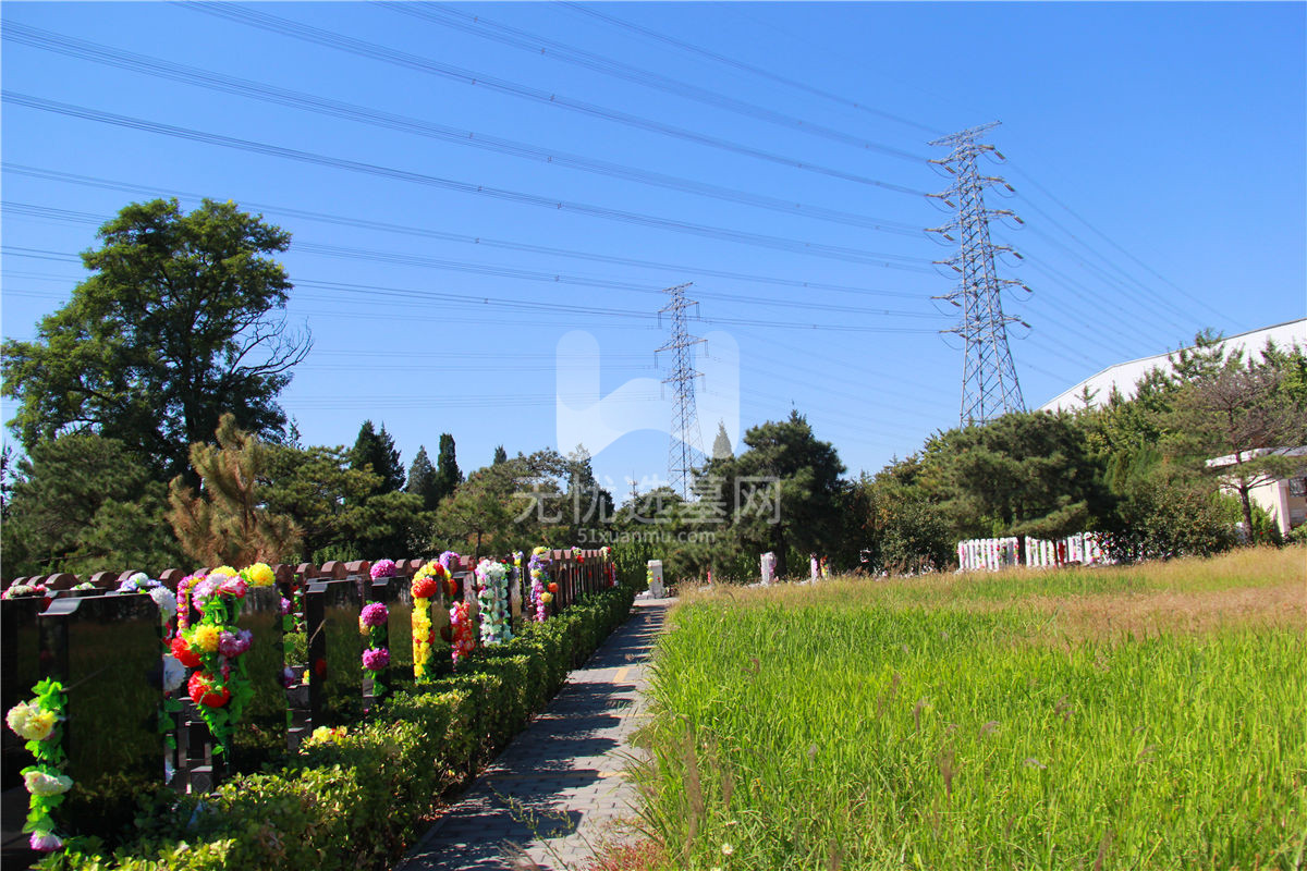 朝阳陵园墓区07