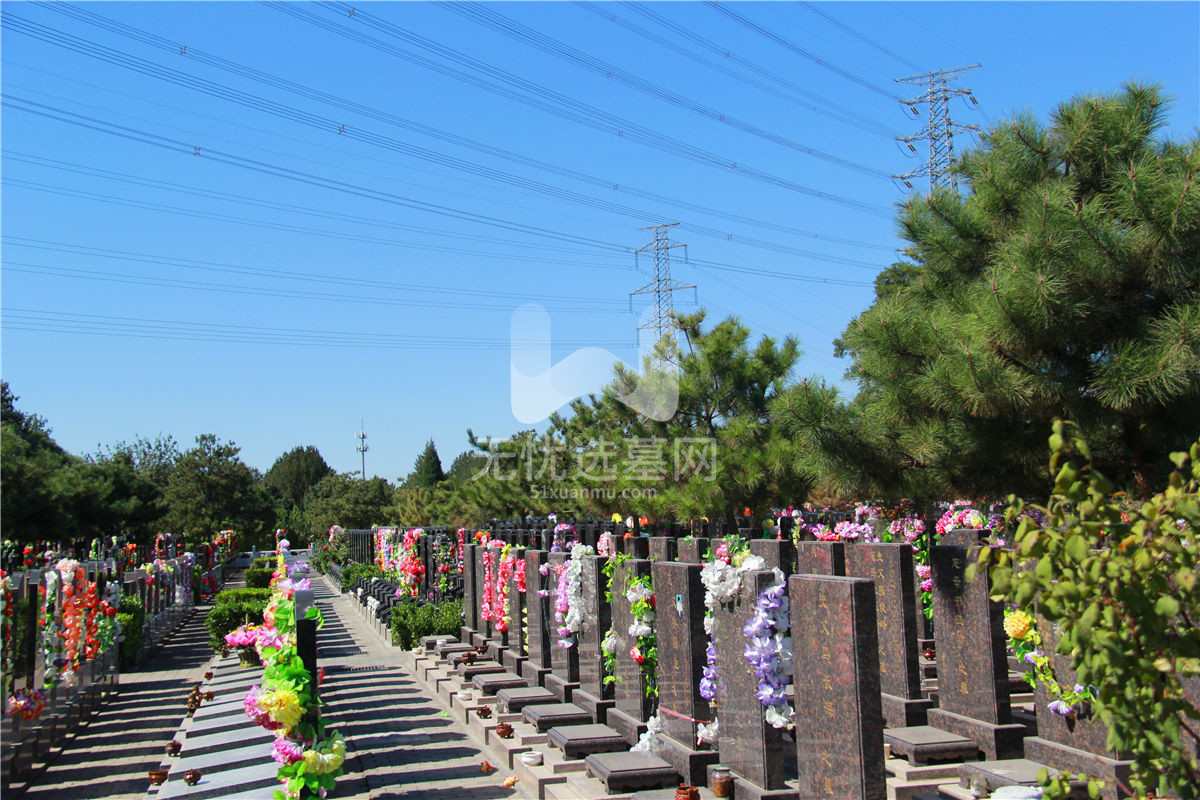 朝阳陵园墓区05