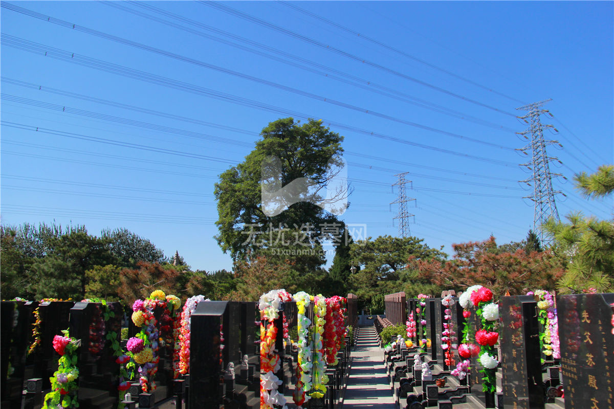 朝阳陵园墓区08