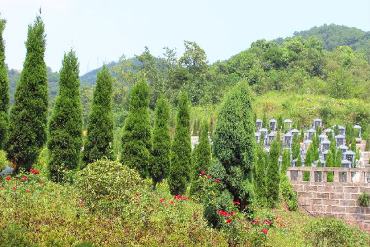 奇峰山陵园墓区环2