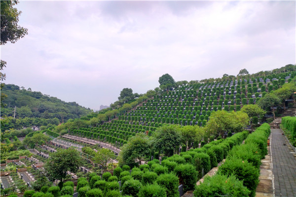 金银山公墓墓区