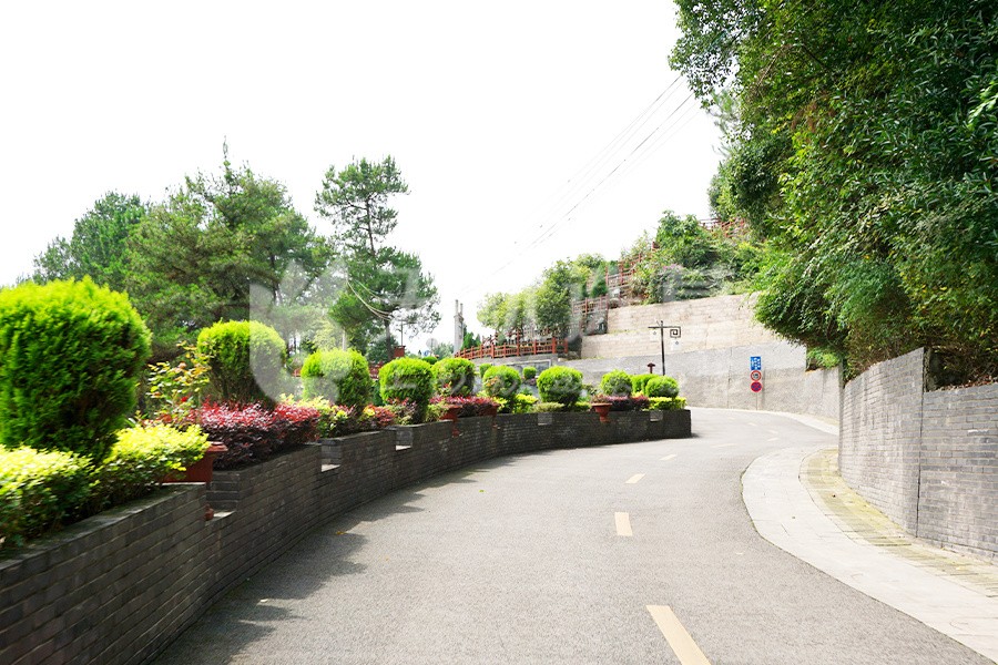 陵园道路风景