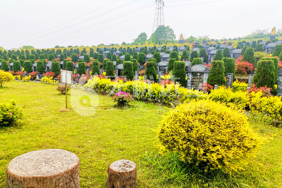 陵园绿化草地