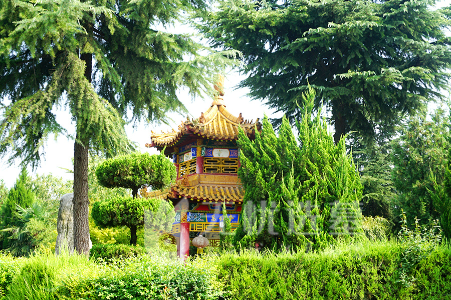 绿化风景