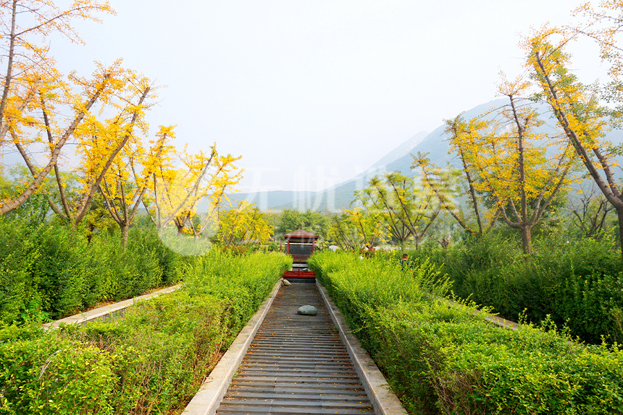 道路环境