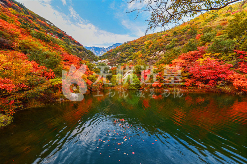 陵园美景